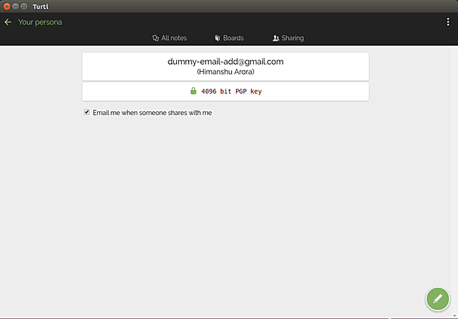 turtl-persona-created