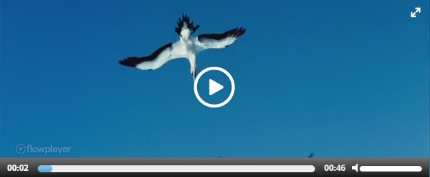 wp-video-plugins-02-easy-video-player wp-video-plugins-02-easy-video-player