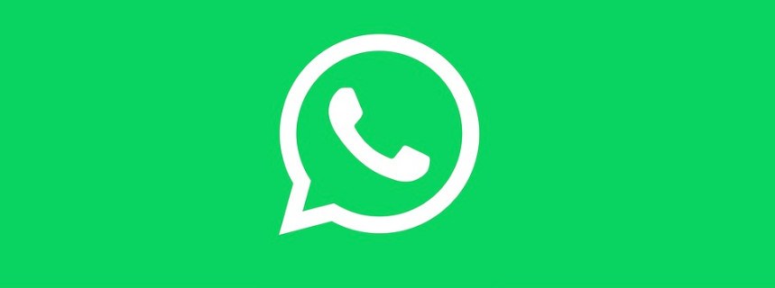 allo-whatsapp-icon