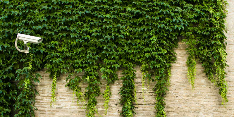 How to Search Google Anonymously on Firefox While Staying Signed In Featured Image