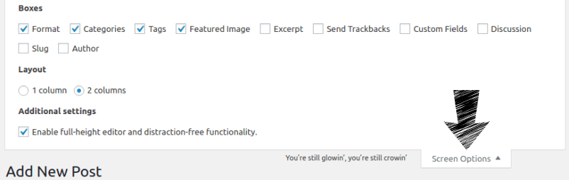 WordPress blog editor screen options. WordPress blog editor screen options.