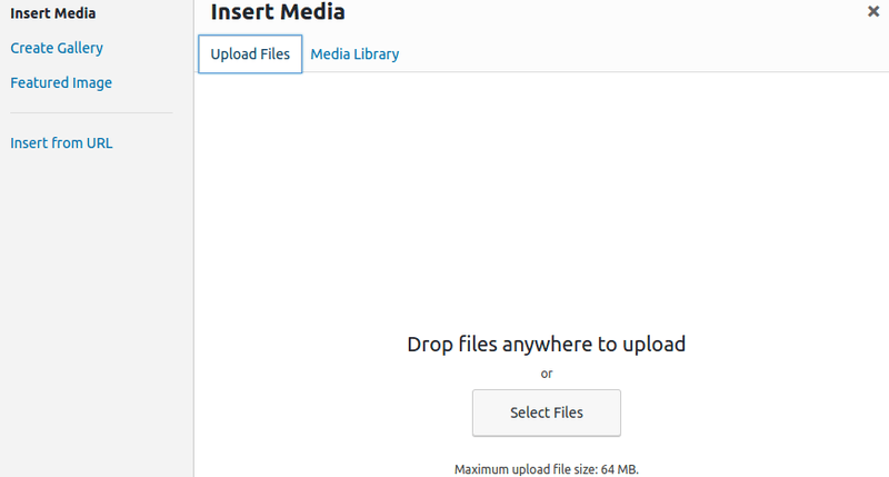 Insert media into WordPress blog post. Insert media into WordPress blog post.