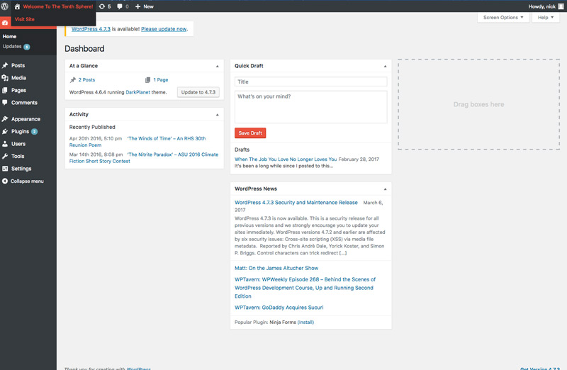 Visiting your website's homepage from WordPress' Admin portal.