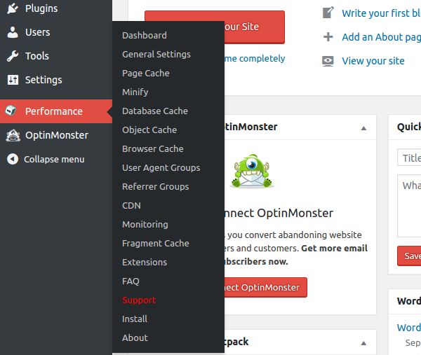 WordPress plugin own menu - W3 Total Cache. WordPress plugin own menu - W3 Total Cache.