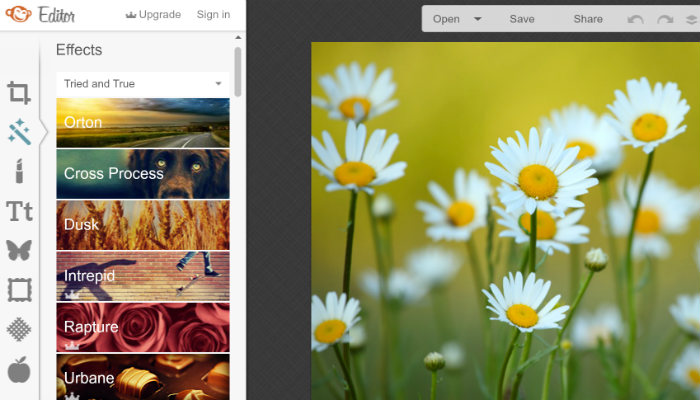 web-photoshop-alternatives-picmonkey