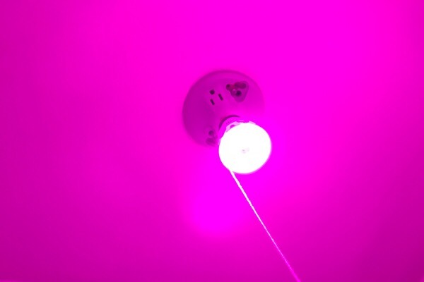 loftek-light-bulb-review-pink loftek-light-bulb-review-pink