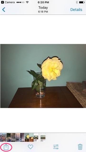 quickly-create-duplicates-step-2 quickly-create-duplicates-step-2