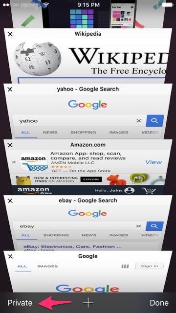 everything-skillfully-safari-private