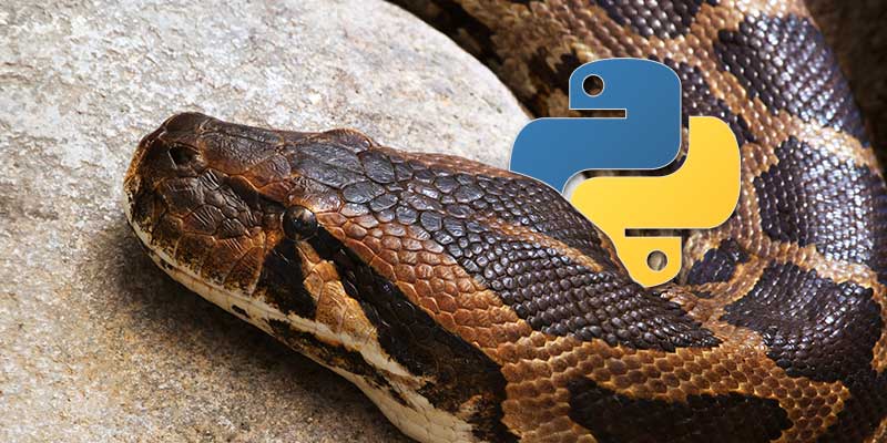 Upgrading and Using Python 3 on a Mac Featured Image