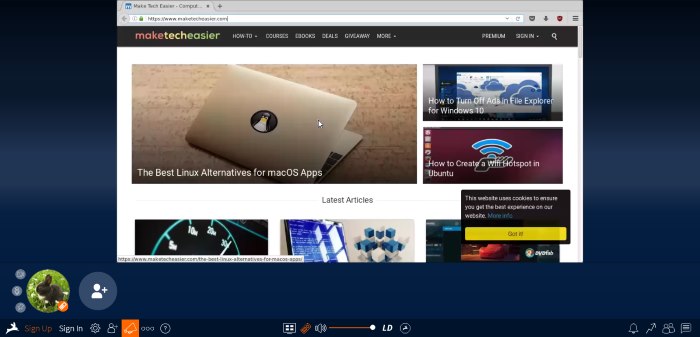 rabbit-website-browser