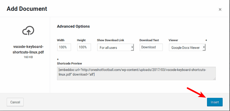 embed-doc-wordpress-advanced-options