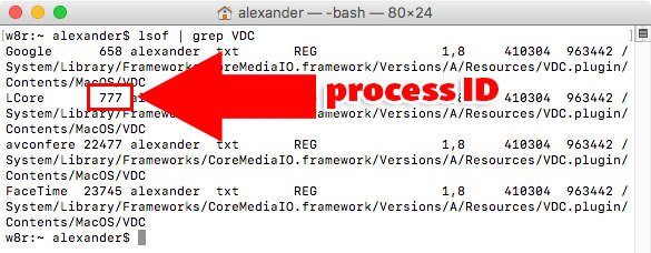 terminal-webcam-process-id