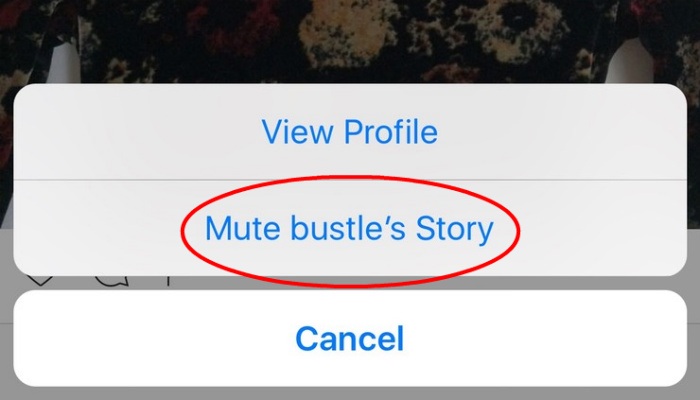 instagram-mute-story instagram-mute-story