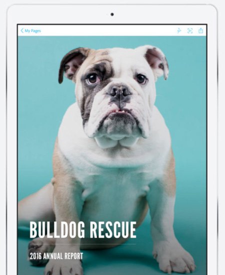 ipad-pro-10-5-apps-adobe-spark-page ipad-pro-10-5-apps-adobe-spark-page
