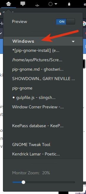 pip-gnome-windows pip-gnome-windows