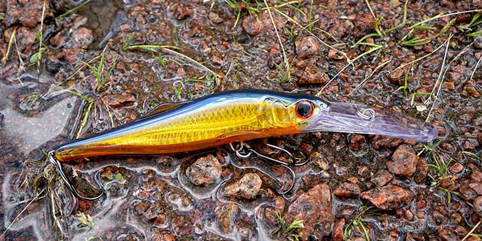 social-engineering-attack-baiting social-engineering-attack-baiting