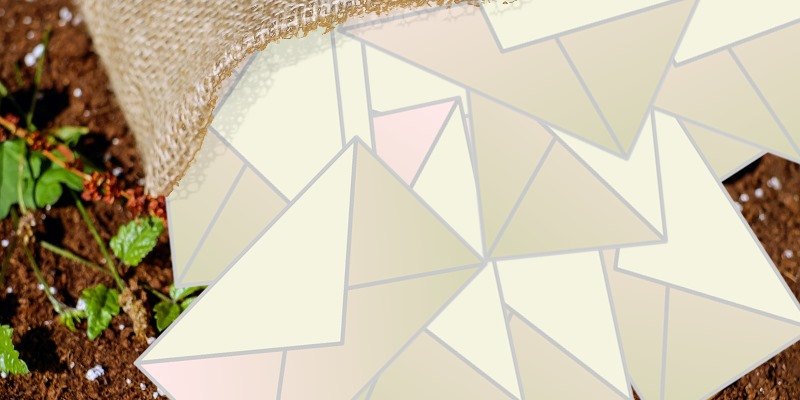 Email Harvesting Explained and How to Protect Yourself from It Featured Image