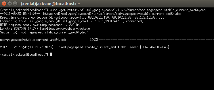 pagespeed-download pagespeed-download