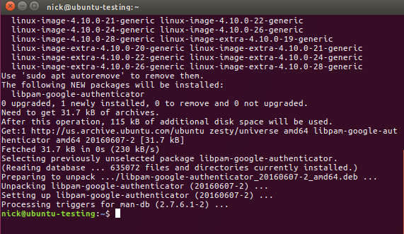 Install Google Authenticator Linux
