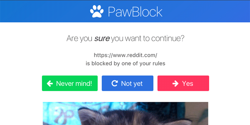 PawBlock-featured