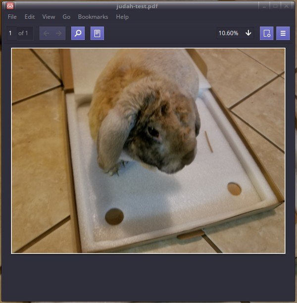 cleverpdf-image-to-pdf-completed-example