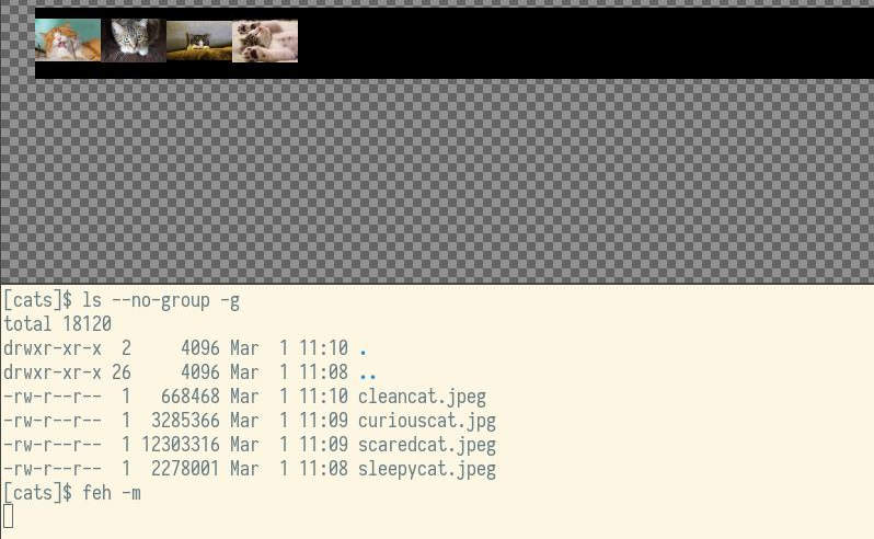Feh montage Feh montage