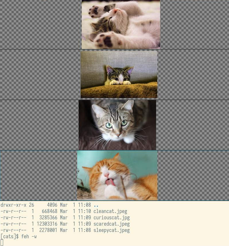 Feh multiwindow Feh multiwindow