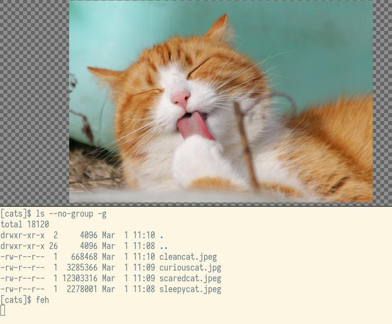 Feh slideshow Feh slideshow