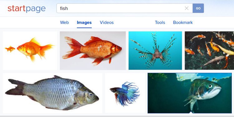 startpage-image-search-1