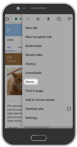 windows-android-share-continue