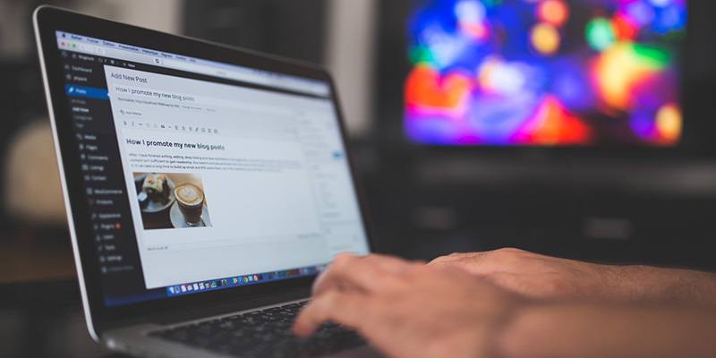 How to Add Custom Style Options to WordPress Post Editor Featured Image