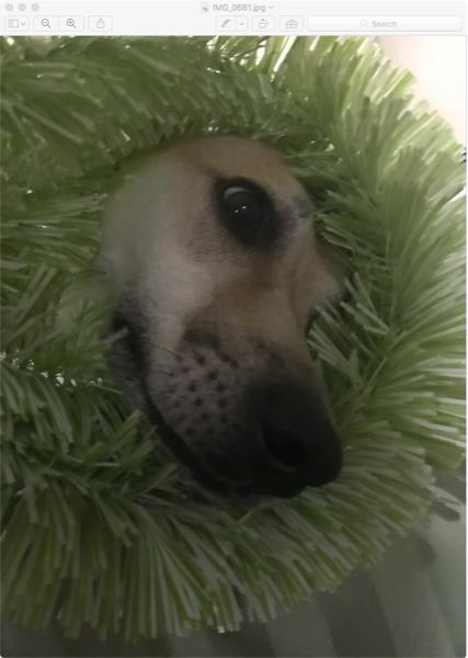 joyoshare-huver joyoshare-huver