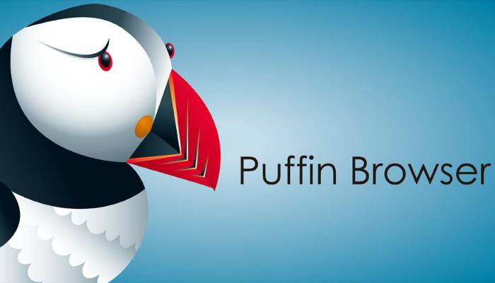 fast-browser-puffin