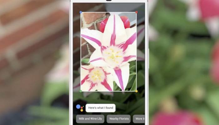google-lens-flower google-lens-flower