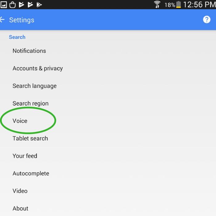 homemade-smart-speaker-voice-select