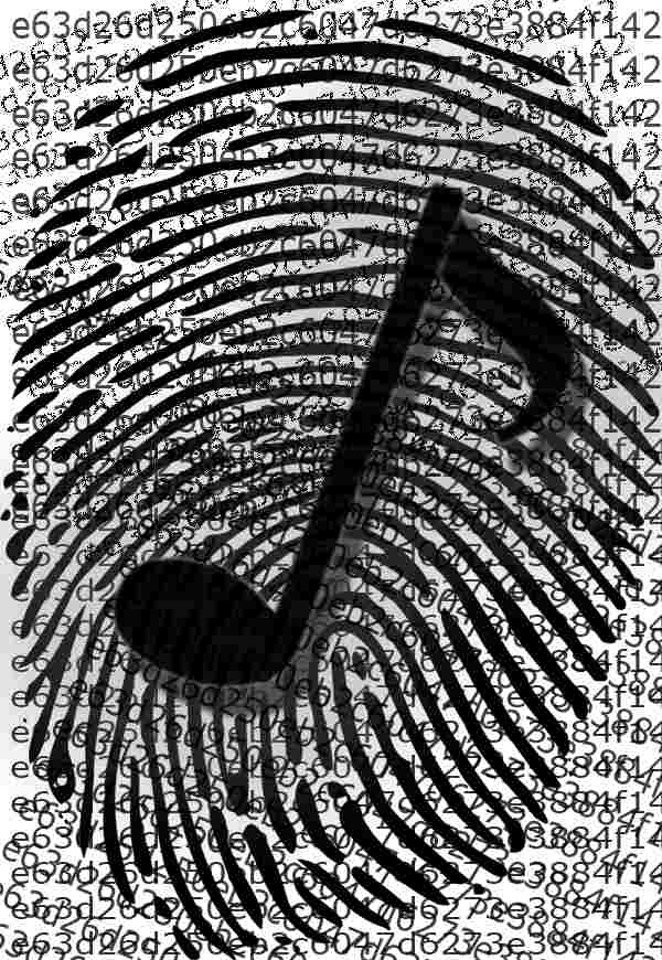music-fingerprint