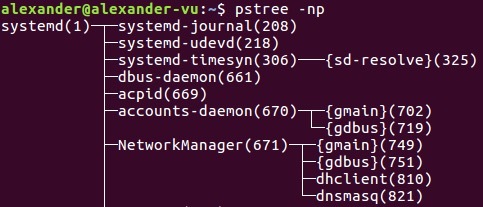 pstree-guide-linux-3 pstree-guide-linux-3