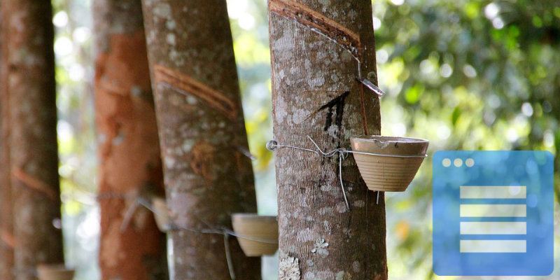 3 Ways to Extract Images from Google Docs Featured Image