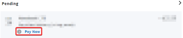 paypal-delivery-pay-now