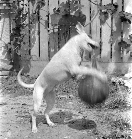 fix-blurry-photos-motion-blur-example-2