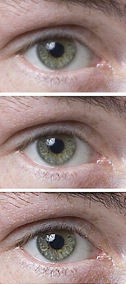 fix-blurry-photos-oversharpened-example