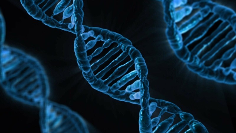 news-dna-data-dna news-dna-data-dna