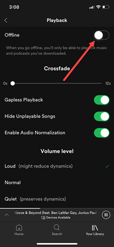 disable-spotify-connect-offline-mode