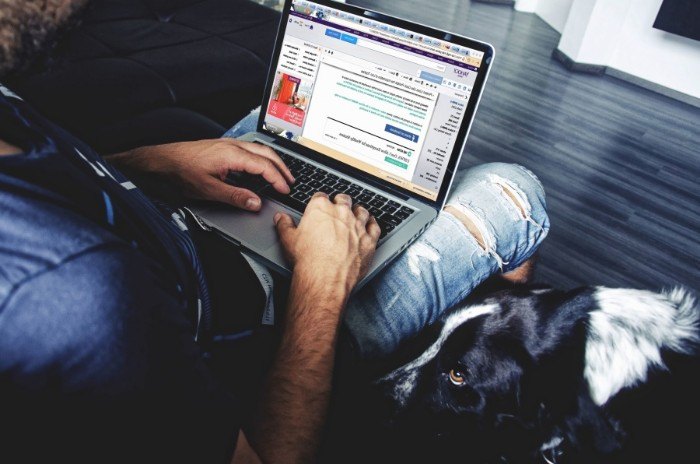 plugin-fixes-person-internet fix-flash-player-crashes-errors-chrome-person-internet