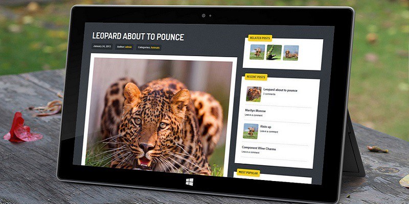 How to Move WordPress from Localhost to Production Server Featured Image