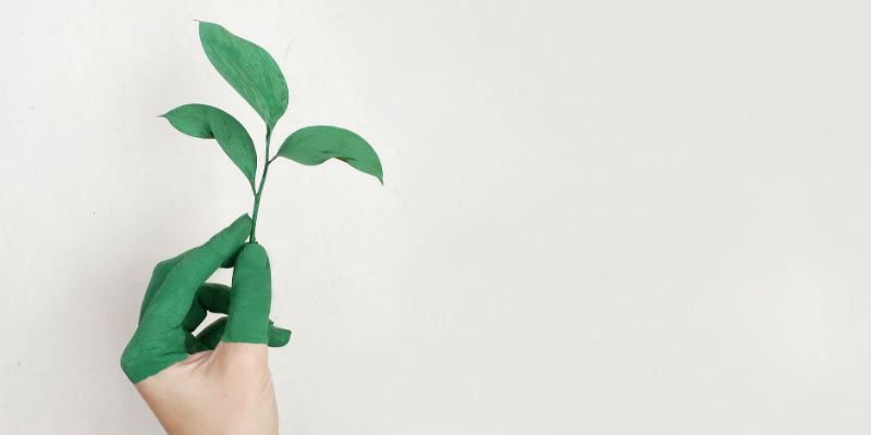 4 Simple Apps to Help You Become More Environmentally Friendly Featured Image