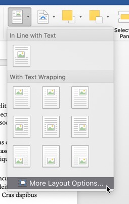 place-images-in-word-properly-more-layout-options