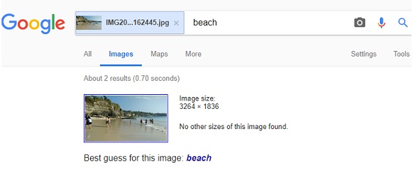 Visual image search by Google Reverse Search Engine Visual image search by Google Reverse Search Engine