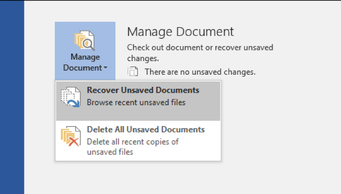 word-recover-manage-documents