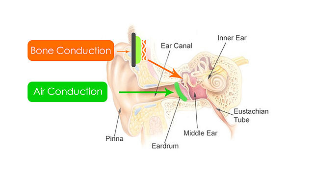bone-conduction-mechanism